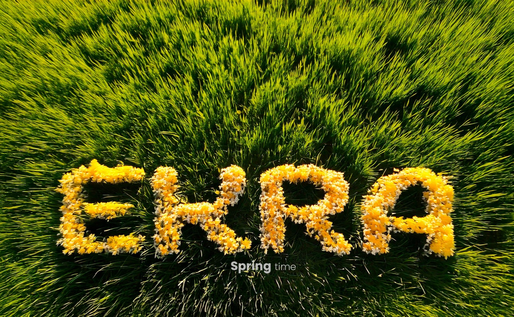 ekra primavera login wallpaper